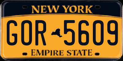 NY license plate GOR5609