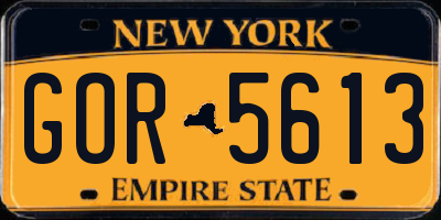 NY license plate GOR5613