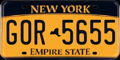 NY license plate GOR5655