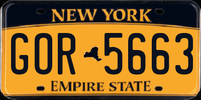 NY license plate GOR5663