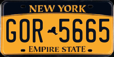 NY license plate GOR5665