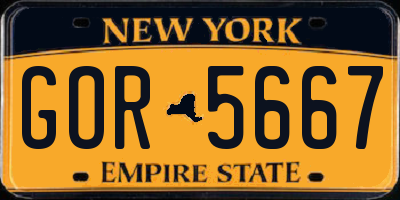 NY license plate GOR5667