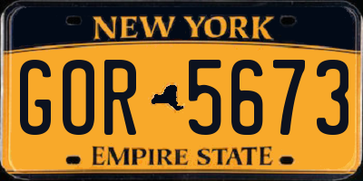 NY license plate GOR5673