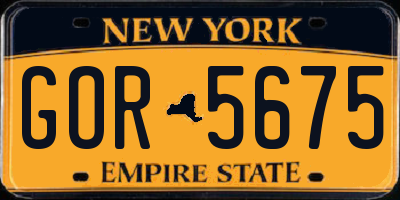 NY license plate GOR5675