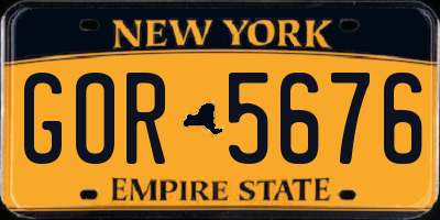 NY license plate GOR5676