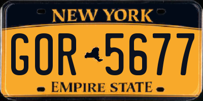 NY license plate GOR5677