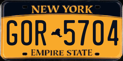 NY license plate GOR5704