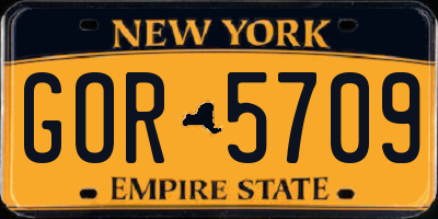 NY license plate GOR5709
