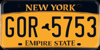 NY license plate GOR5753