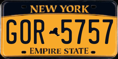 NY license plate GOR5757