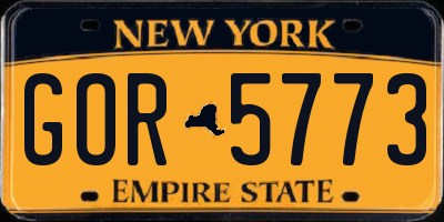 NY license plate GOR5773