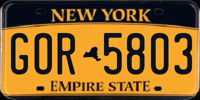 NY license plate GOR5803