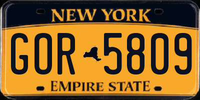 NY license plate GOR5809