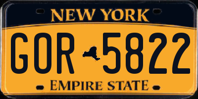 NY license plate GOR5822