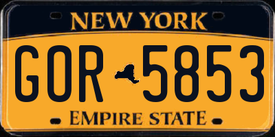NY license plate GOR5853