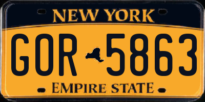 NY license plate GOR5863