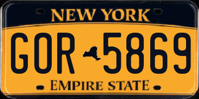 NY license plate GOR5869