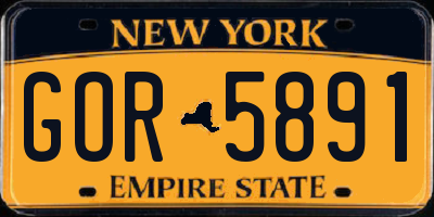 NY license plate GOR5891