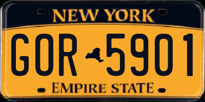 NY license plate GOR5901