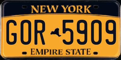 NY license plate GOR5909