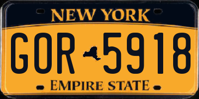 NY license plate GOR5918
