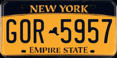 NY license plate GOR5957