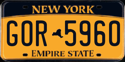 NY license plate GOR5960