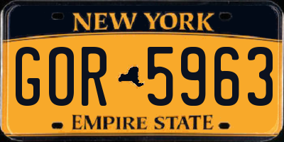 NY license plate GOR5963