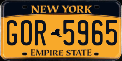 NY license plate GOR5965