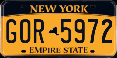 NY license plate GOR5972