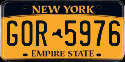 NY license plate GOR5976