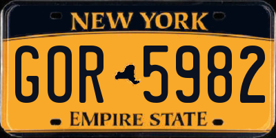 NY license plate GOR5982