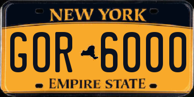 NY license plate GOR6000