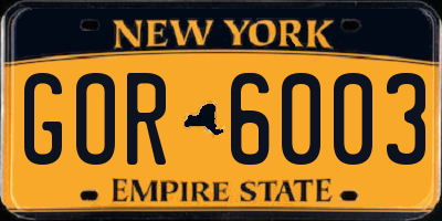 NY license plate GOR6003