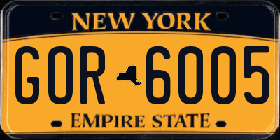 NY license plate GOR6005