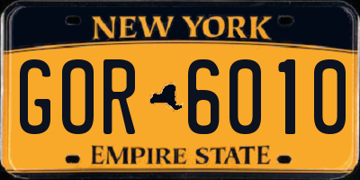 NY license plate GOR6010