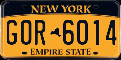 NY license plate GOR6014