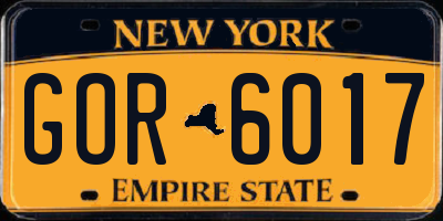 NY license plate GOR6017