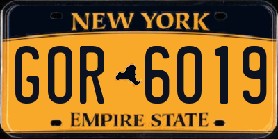 NY license plate GOR6019