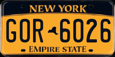 NY license plate GOR6026