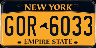 NY license plate GOR6033