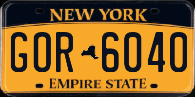 NY license plate GOR6040