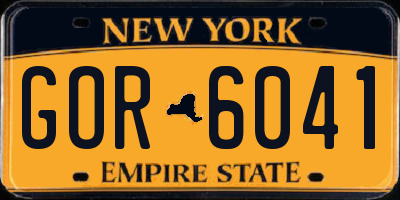 NY license plate GOR6041