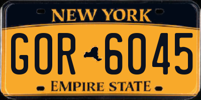 NY license plate GOR6045
