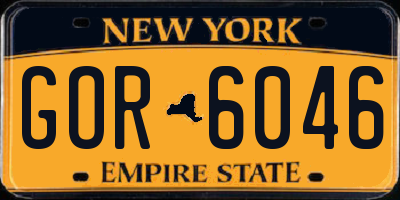 NY license plate GOR6046
