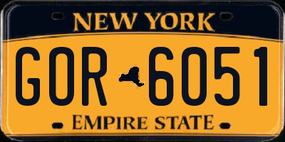NY license plate GOR6051