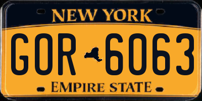 NY license plate GOR6063