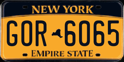 NY license plate GOR6065