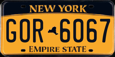 NY license plate GOR6067