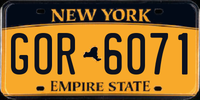 NY license plate GOR6071